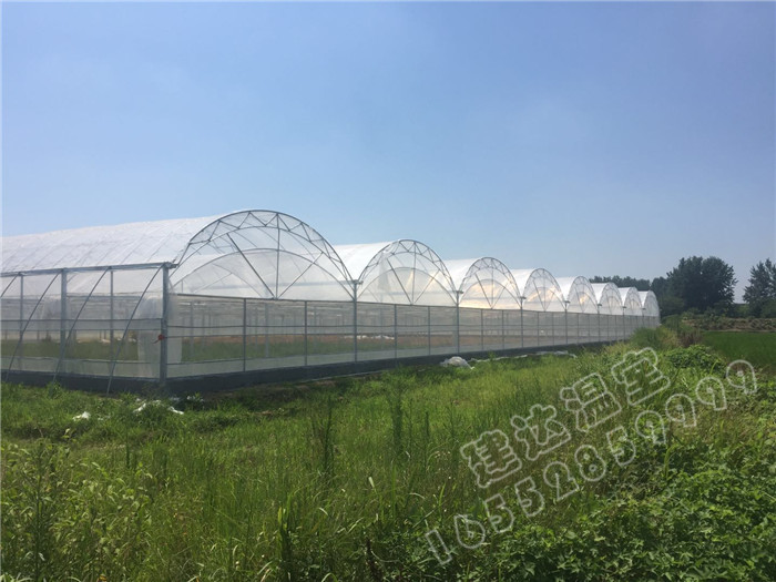 怎样避免日光温室变形倒塌